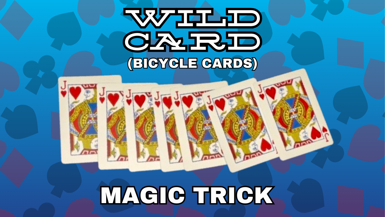 Seven playing cards are fanned out: six Jack of Hearts and one Queen of Clubs, set against a blue background with card suit symbols. Text reads Wild Card (Bicycle Cards) Magic Trick from The Best Magic Shop.