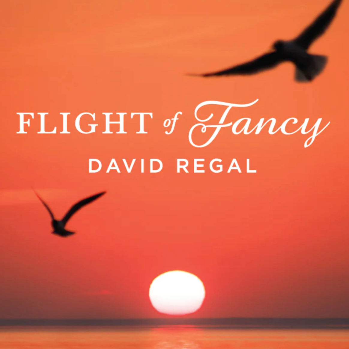 Magic trick cover for "Flight of Fancy" by David Regal, featuring a sunset over water with birds in flight.