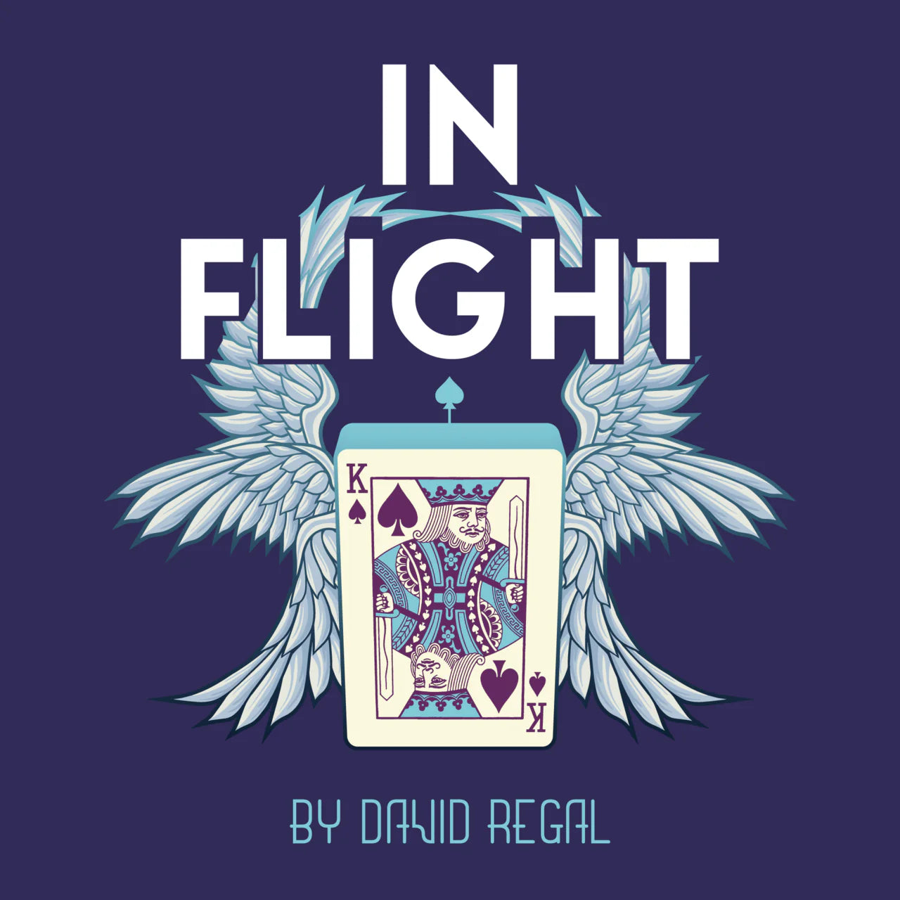 In Flight Magic Trick by David Regal