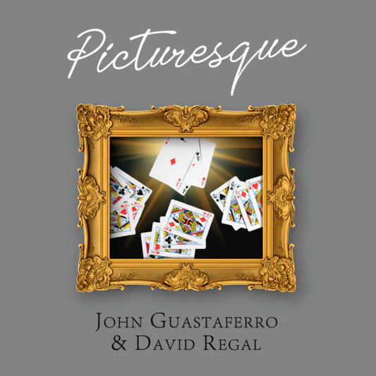 Gold-framed artwork displaying playing cards seemingly levitating, titled "Picturesque," by John Guastaferro & David Regal.